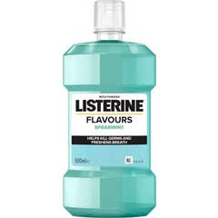 Listerine Bain de Bouche Saveur Menthe Verte 500 ml