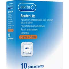 Alvita Border Lite Pansements hydrocellulaires 5x5cm 10 Unités