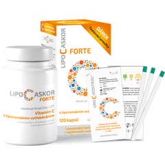 InPharm Lipo C Askor Forte Vitamine C liposomale 120caps