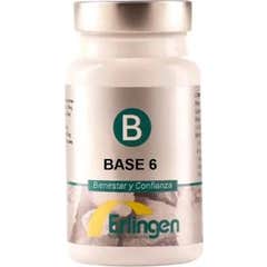 Base d'Erlingen 6 60 Cpr