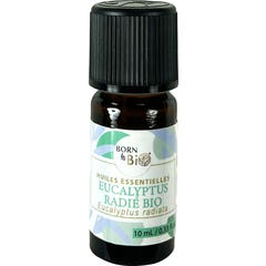 Born To Bio Huile Essentielle Eucalyptus Radié Bio 10 ml