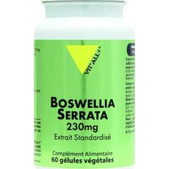 Vit'All+ Boswellia Serrata Standardisé 60 Gélules