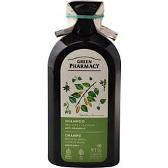 Green Pharmacy Shampooing Antipelliculaire Bouleau Ricin 350 ml