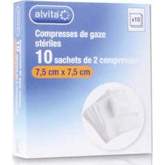 Alvita Compresse Stérile Non Tissu 25x2 10x10uts