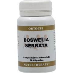 Ortocel Nutri-Therapy Boswellia 60caps Ortocel Nutri-Therapy Boswellia 60caps