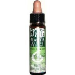 Plantis Remedy 6 Self Esteem 10ml