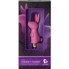 Rocks-Off Ramsey Lapin Bullet Vibrator Pink 1ut