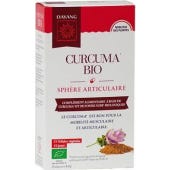 Dayang Curcuma Bio Gelule 15