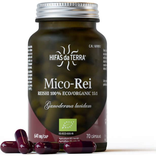 Hyphae Da Terra Antioxydant Mico Rei 640mg 70caps