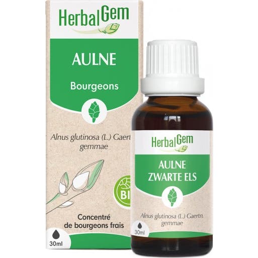 Herbalgem Macérat Concentré D'aulne Glutineux Bio 30Ml