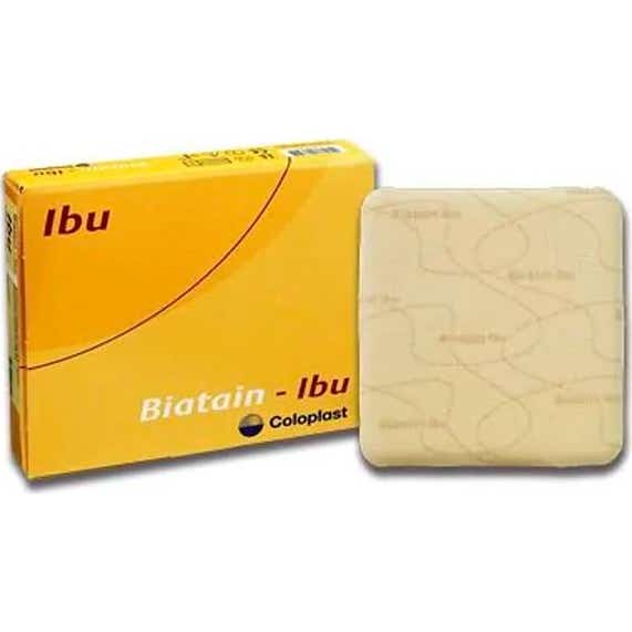 Com Biatain Ibu Non Coguesa Apos Ester 10x12cm 16U