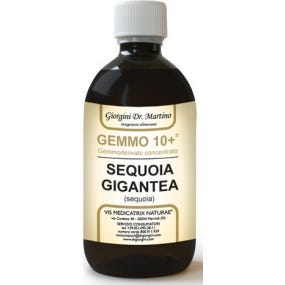 SÉQUOIA 500ML ANALYSE DES PIERRES PRÉCIEUSES 10+