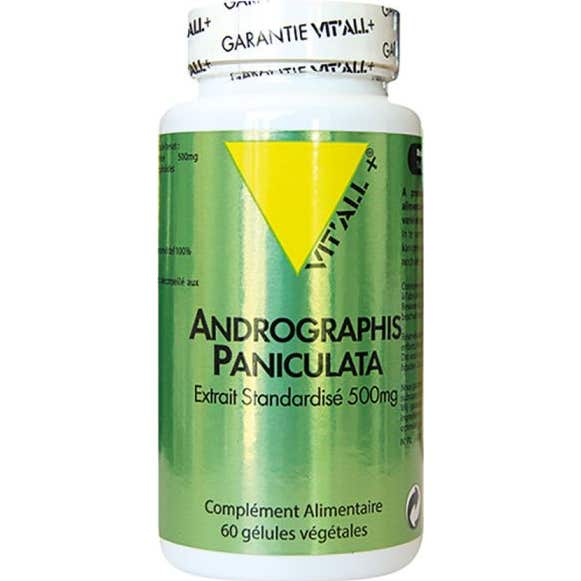VIT'ALL+ Andrographis Paniculate 500mg 60 Gélule