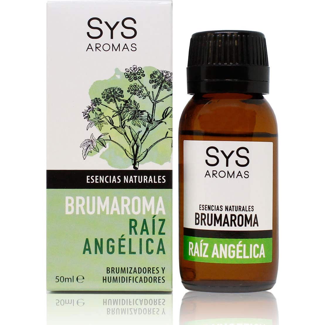 Sys Brunaroma Racine d'Angélique 50ml