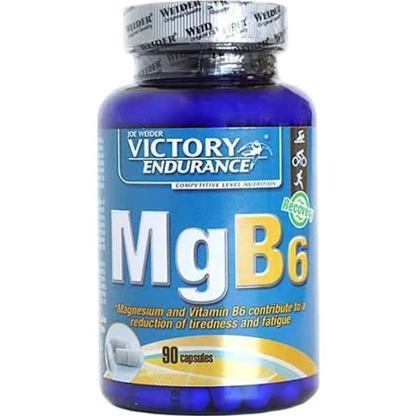 Victory Endurance Mgb6 90caps