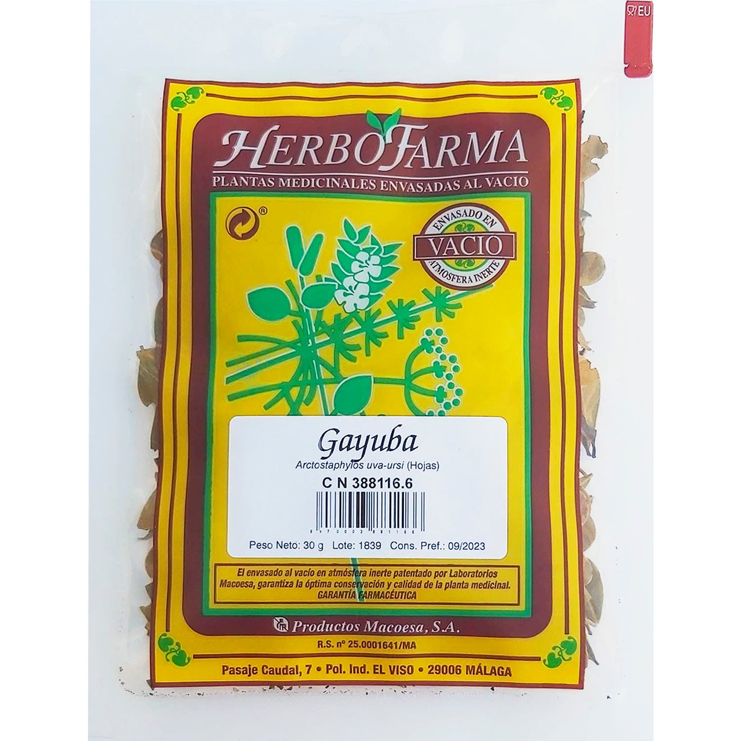 Herbofarma Gayuba Al Vacio 40 G *