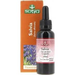 Salvia Extracto Glicerinado Sotya 60 Ml *