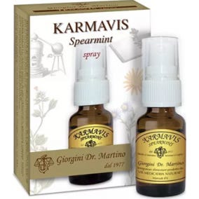 KARMAVIS SPRAY À LA MENTHE VERTE 15ML