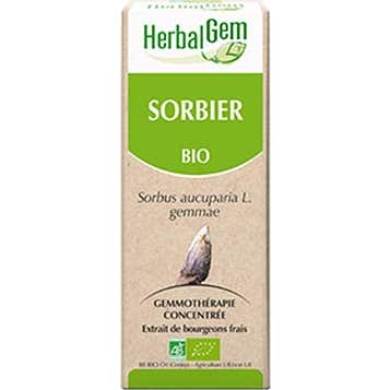 Herbalgem Macer Mer Bio Sorbie30ml