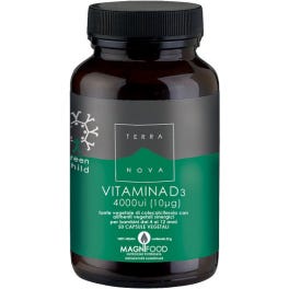L'enfant vert de Terre-Neuve Vit50Cps