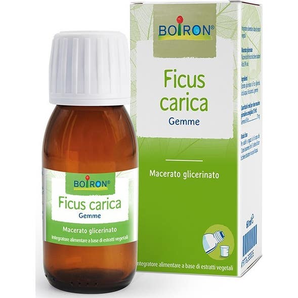 Boiron Ficus Carica Biloba 60ml
