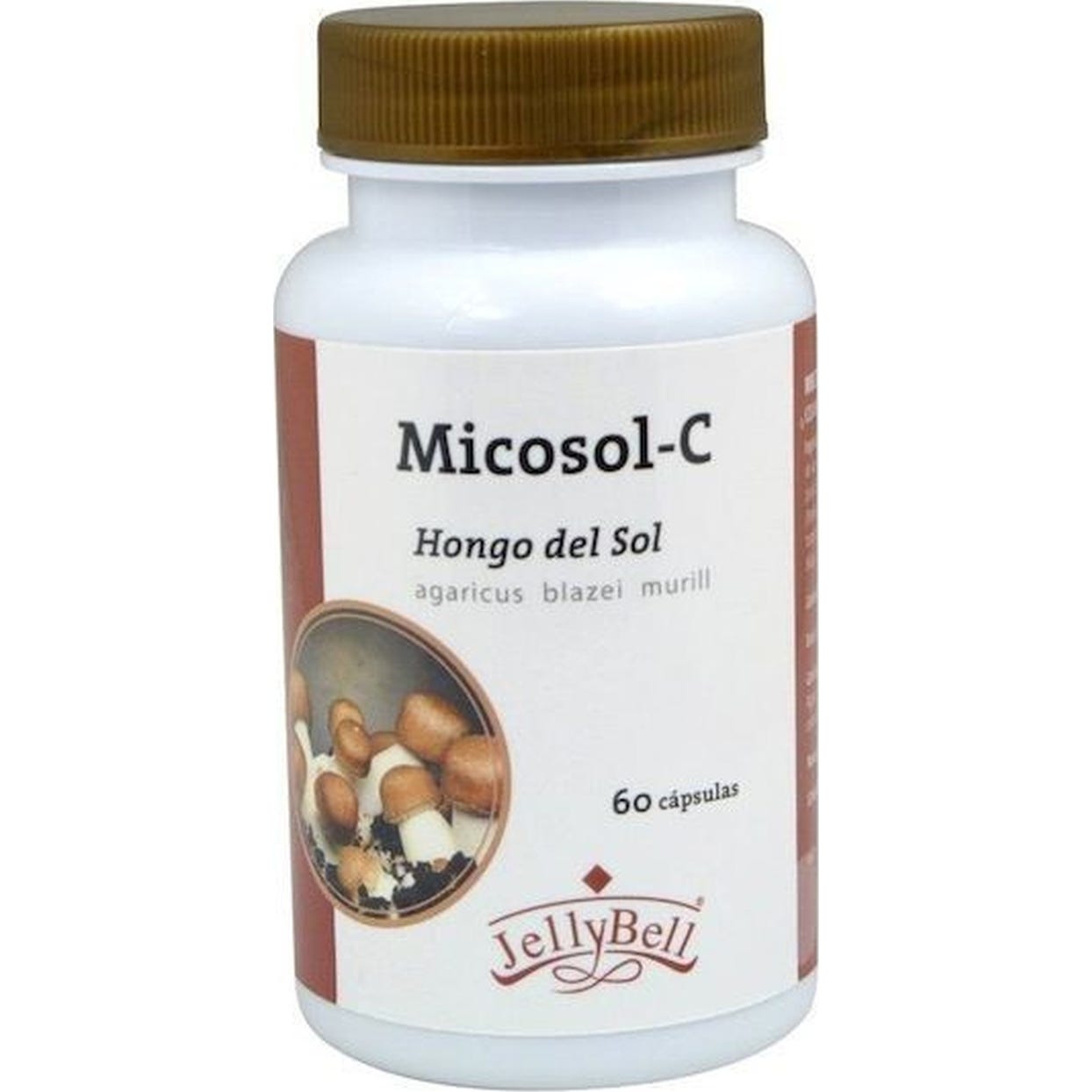 Auroshikha Cones Garden of Nature Fragrance Lavande 20 pcs