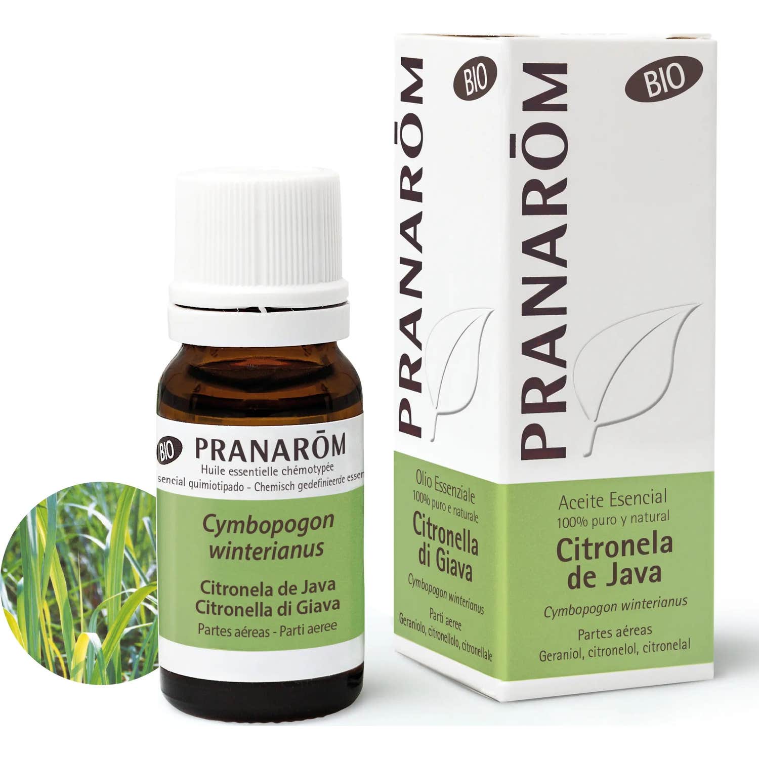 Pranarom Huile Essentielle Bio Citronnelle de Java 10ml