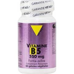 Vit'All+ Vit B5 550Mg 60 Gélules