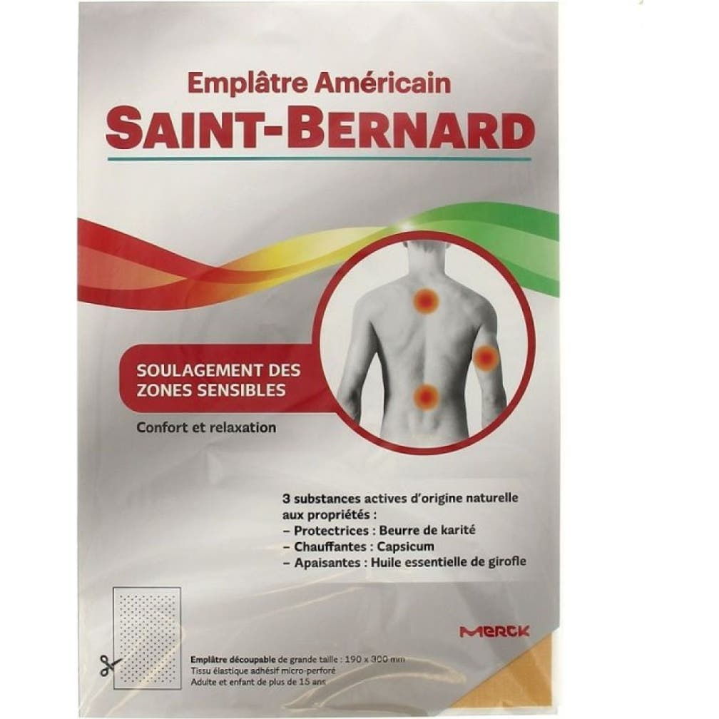 Saint-Bernard Emplâtre Américain 19x30cm
