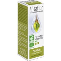 Vitaflor Extrait de Bourgeons Bio Olivier 15mL