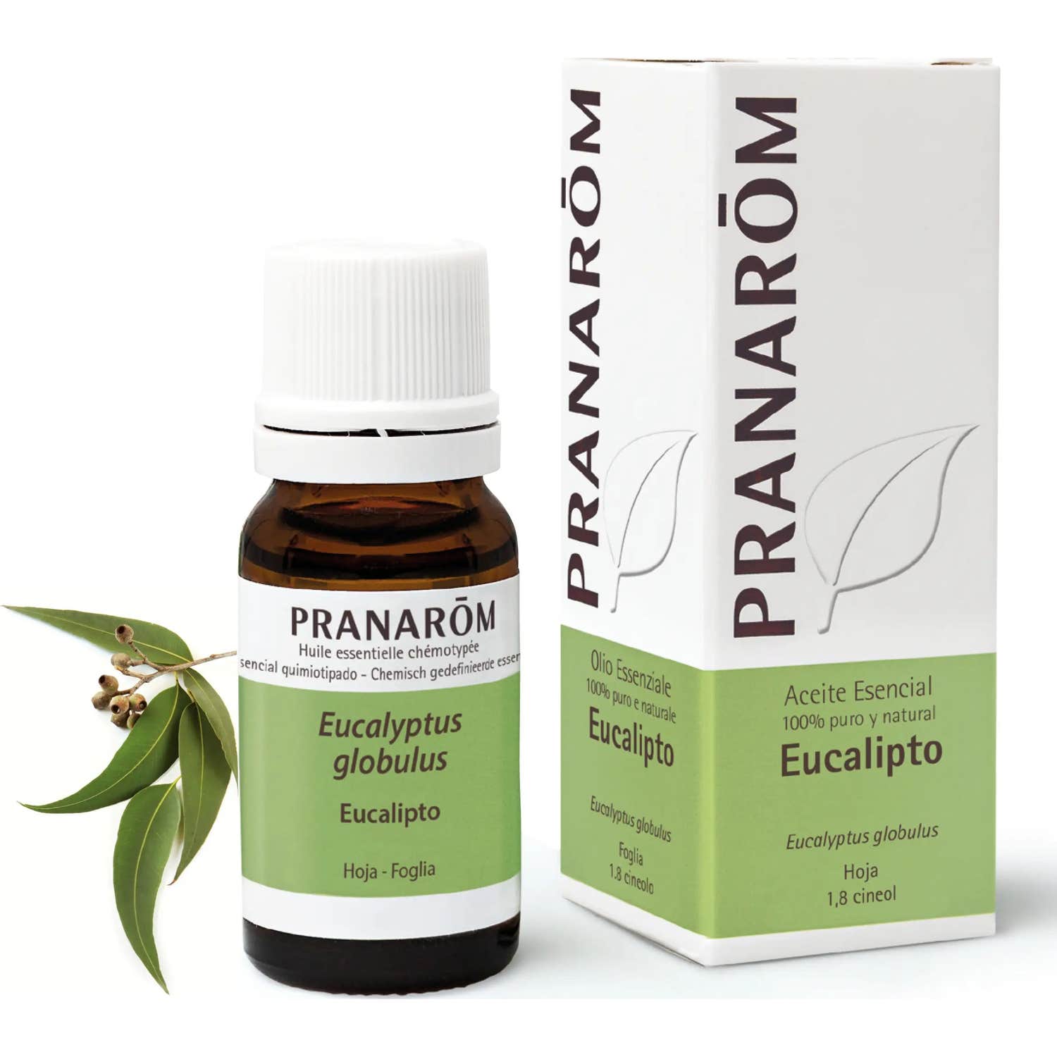 Pranarôm Huile Essentielle Eucalyptus Globuleux 10Ml