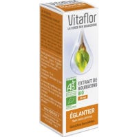 Vitaflor Extrait de Bourgeons Bio Eglantier 15 mL