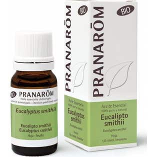 PranarôM Huile Essentielle Eucalyptus Smithii Bio 10Ml-image