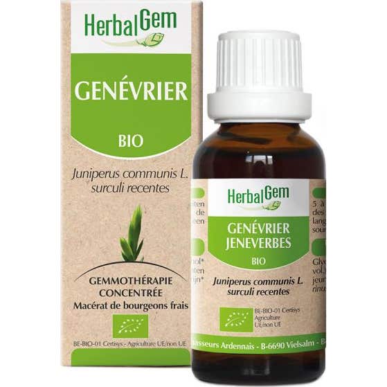 Herbalgem Genévrier Goutte(S) 30 Ml Enfants - Image 2