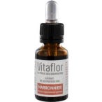 Vitaflor Extrait de Bourgeons Bio Marronnier d?Inde 15 mL