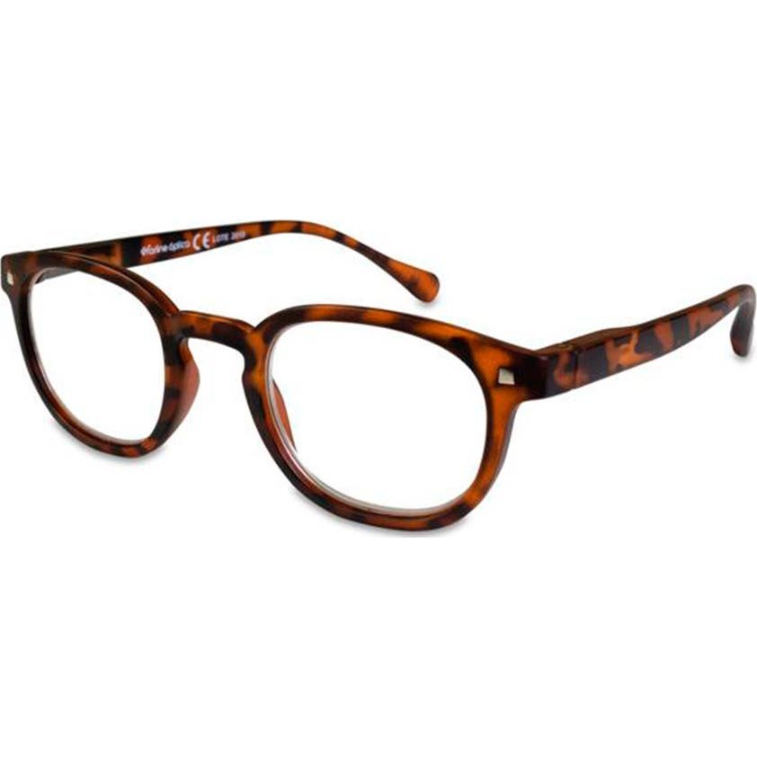 Farline Lunettes Presbytie Everest +1.00 1ut