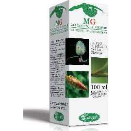 Sangalli Betula Pubescens 100ml