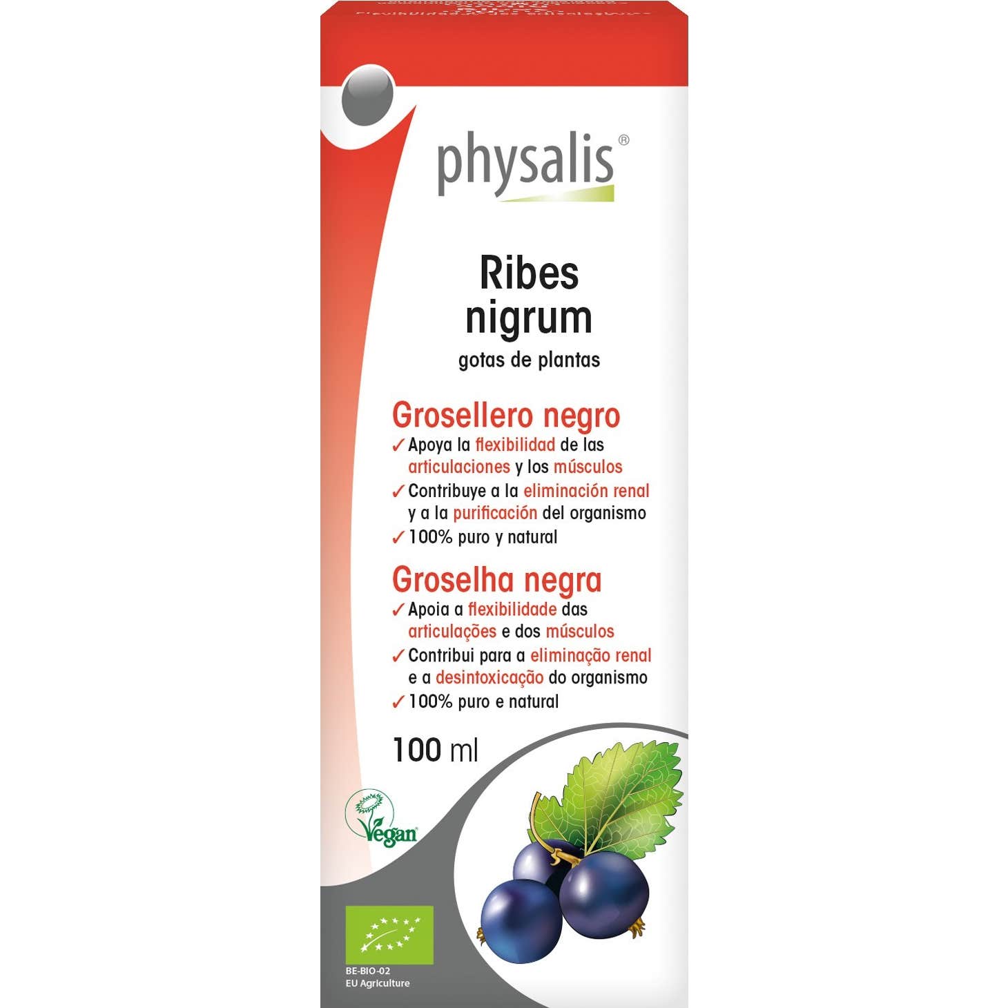 Physalis Cassis Extrait de Cassis Noir Bio 100ml