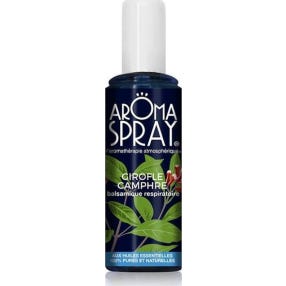 Aromaspray He Girof/Camph Spr100ml