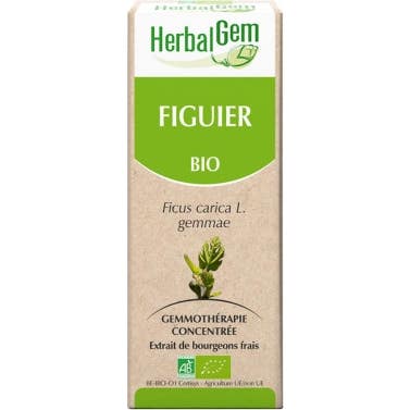 Herbalgem Macérat Concentré de Figuier Bio 30ml
