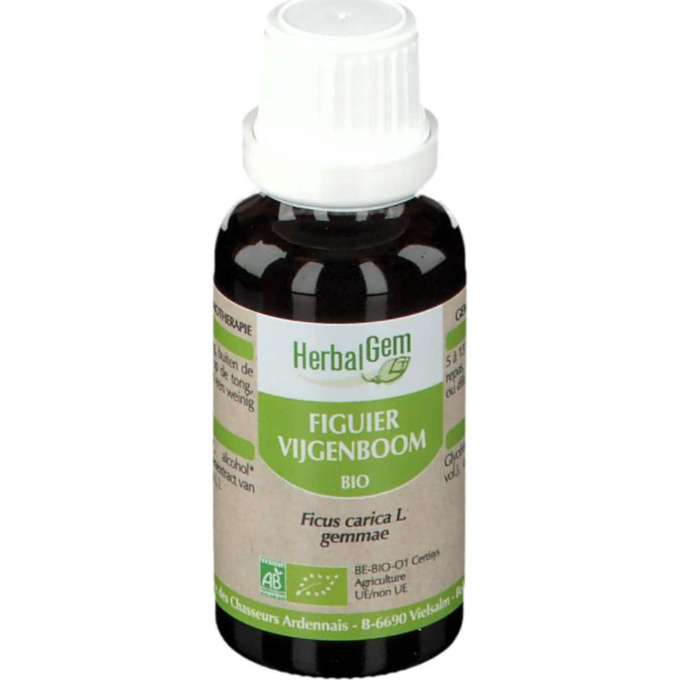 Herbalgem Macérat Concentré de Figuier Bio 30ml