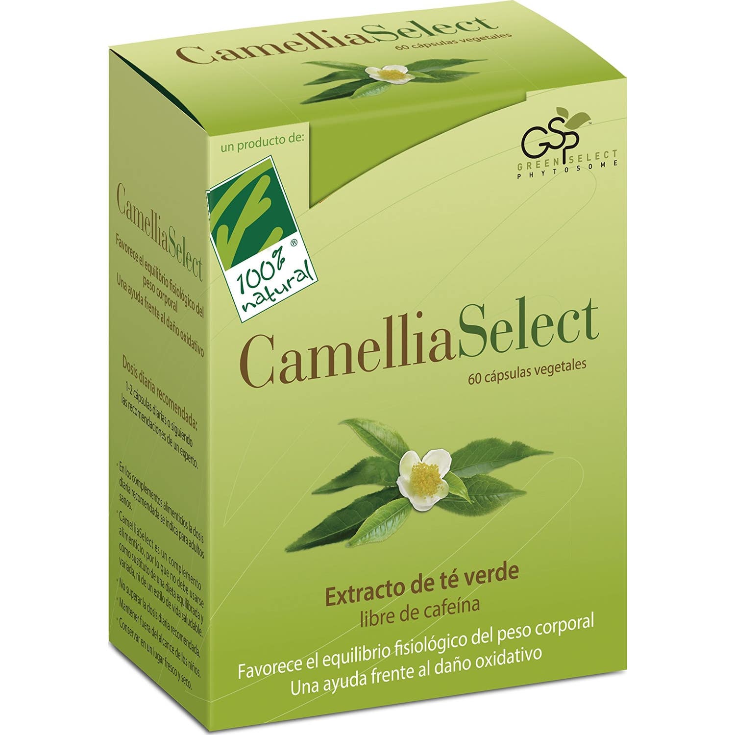 Camellia Select Antioxydant 60caps 100% naturel