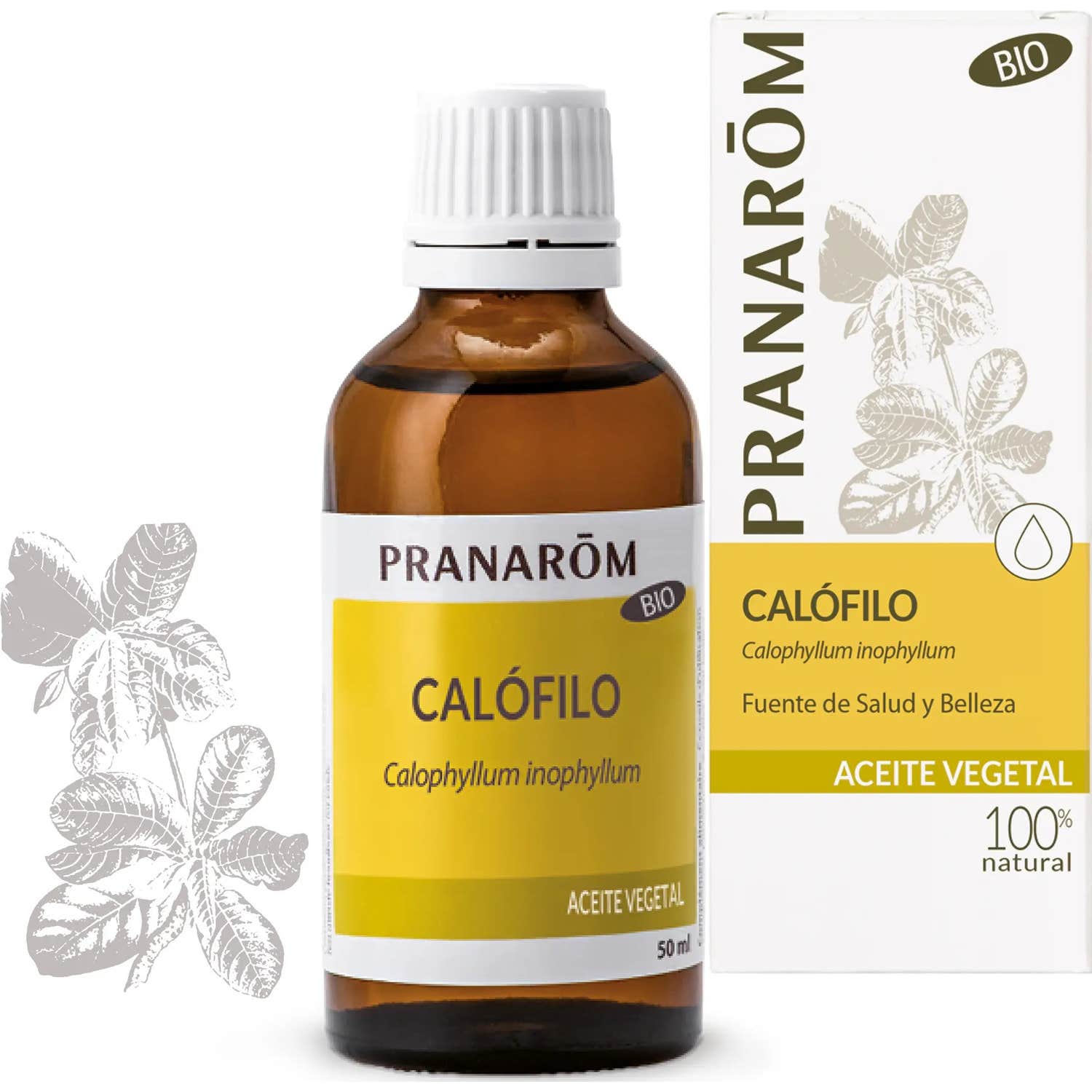 Pranarôm Huile végétale Bio Calophylle 50ml