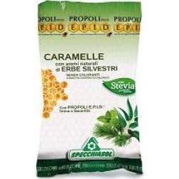 ÉPID CARAM HERBS S/ZUCCH 24PCS