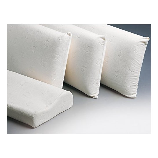 Dynamic Aids Pillow Plus Viscoélastique 70 Cm.