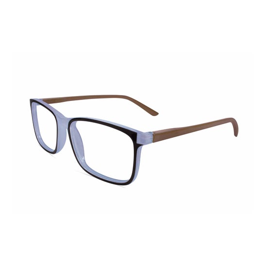 Twins Optical Lunettes Lecture Gold Samsara Gris +2,5 1ut