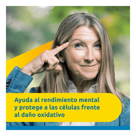 Supradyn Memory 50+ Vitamines Minéraux et Énergie avec Ginseng 30 Comprimés