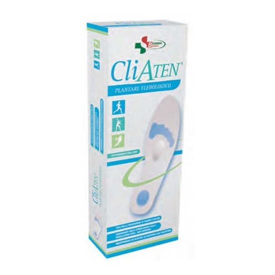 Cliaten Plant.Flebo (44-45) Xl