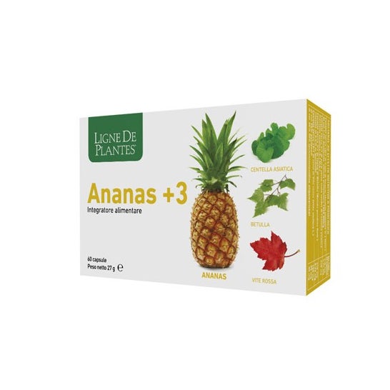 Ligne de Plantes Ananas +3 60caps