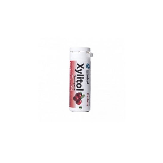 Hager & Werken xylitol gomme xylitol arôme canneberge 1 pc